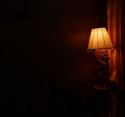 Photo Lamp shade
